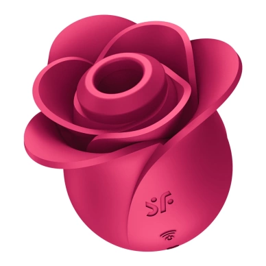 Stimulátor klitorisu Satisfyer Pro 2 Modern Blossom